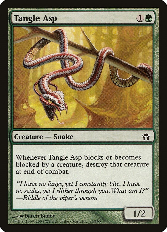Tangle Asp (94) (5DN)