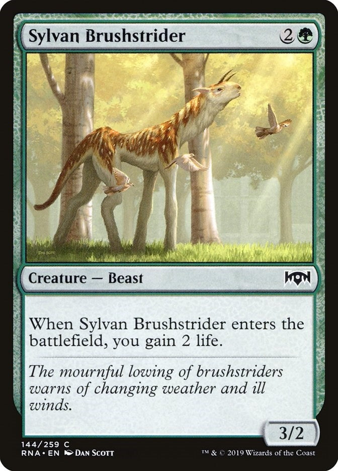 Sylvan Brushstrider (144) (RNA)
