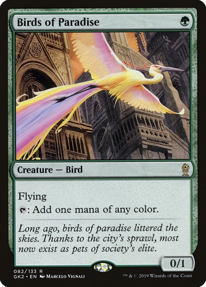 Birds of Paradise (82) (GK2)