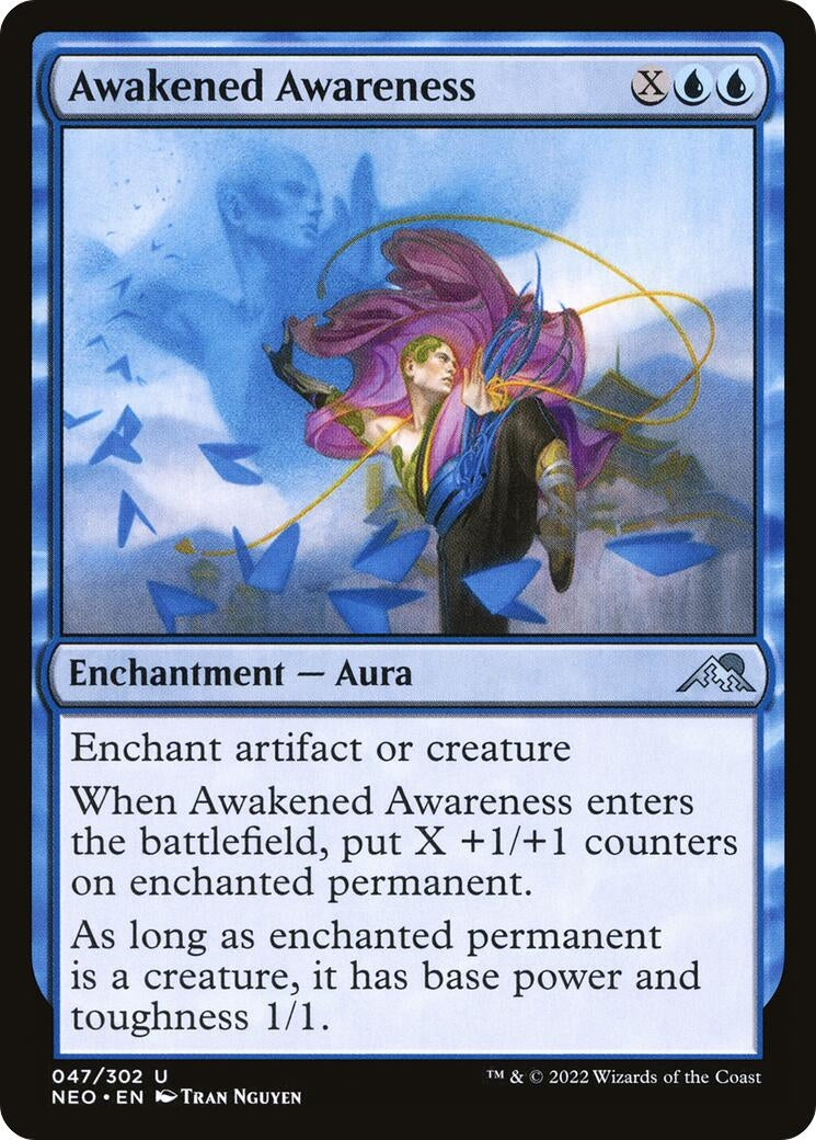 Awakened Awareness (47) (NEO)
