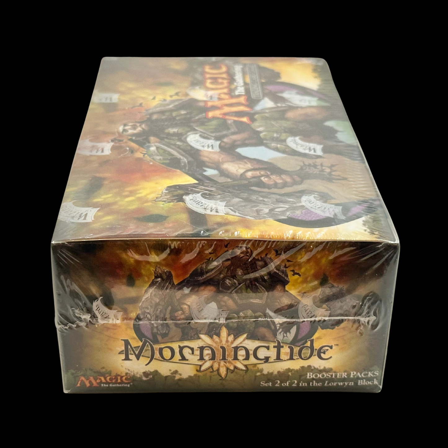 MTG Magic The Gathering Morningtide Booster Box 2008
