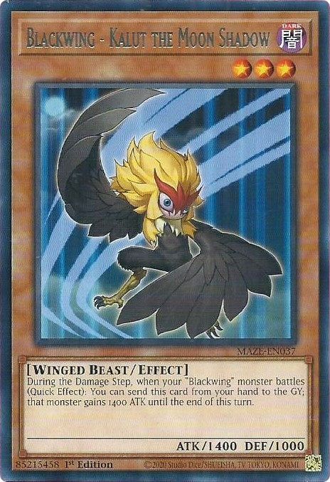 Blackwing - Kalut the Moon Shadow (MAZE-EN037) (MAZE)