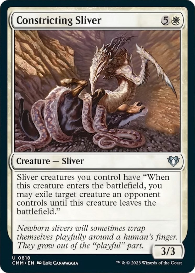 Constricting Sliver (818) (CMM)