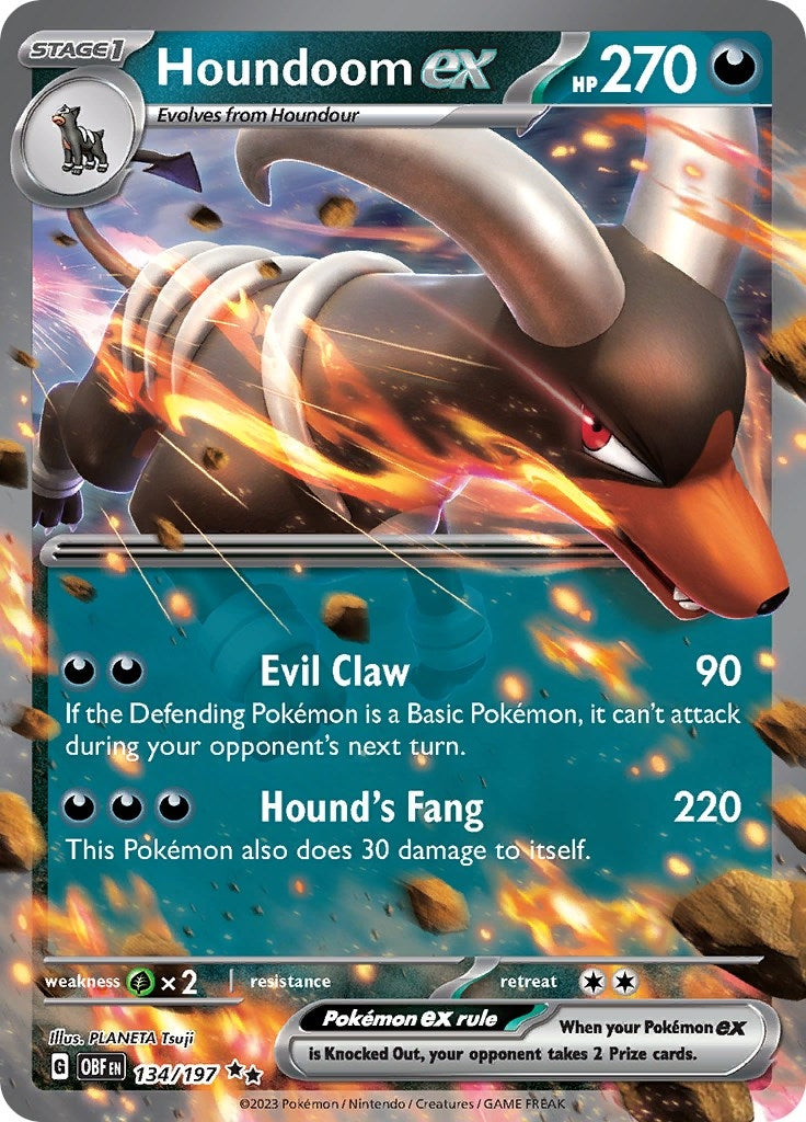 Houndoom ex (134/197) (OBF)