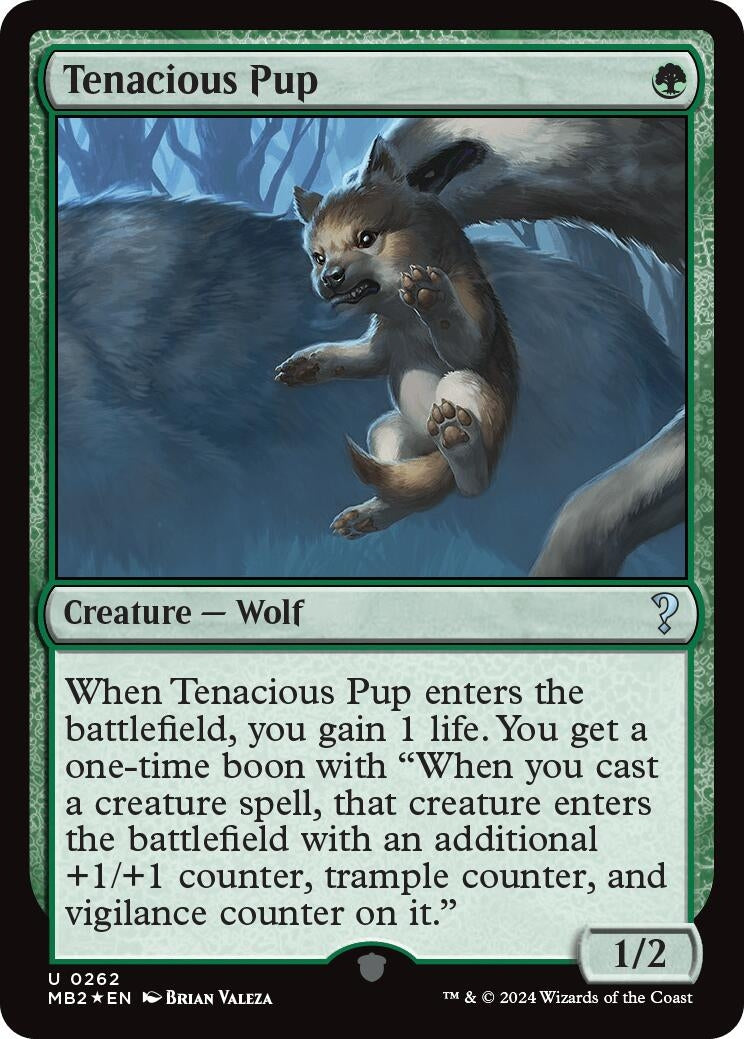 Tenacious Pup (262) (MB2)