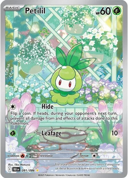 Petilil (091/086) (SV: Black Bolt) (BLK)