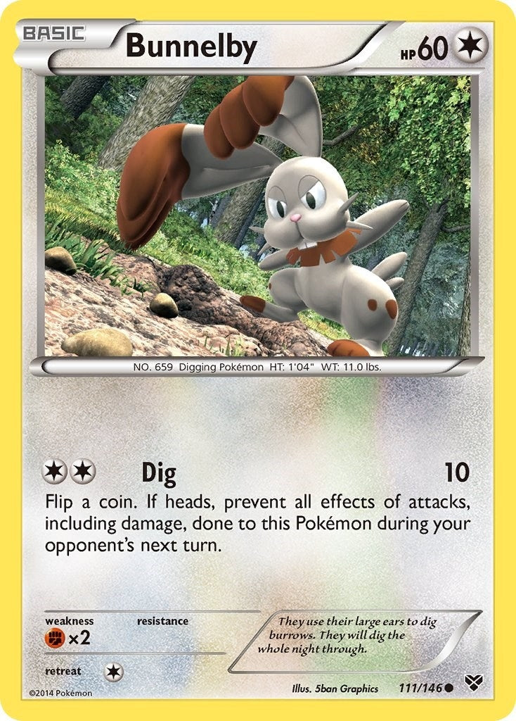 Bunnelby (111/146) (XY)