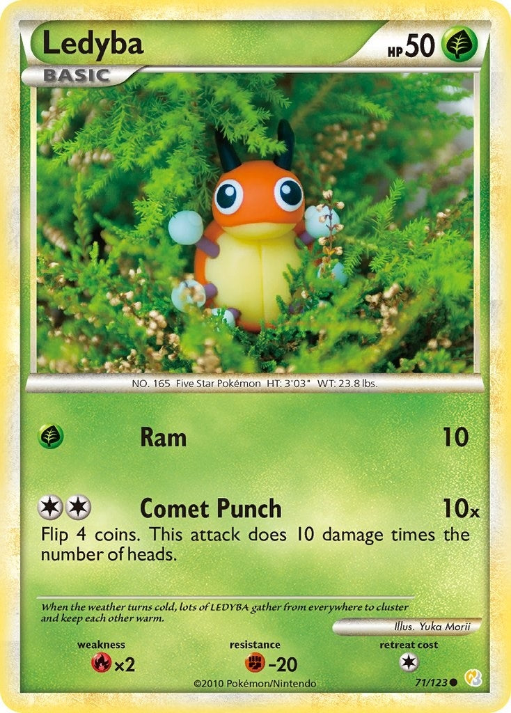 Ledyba (71/123) (HS)