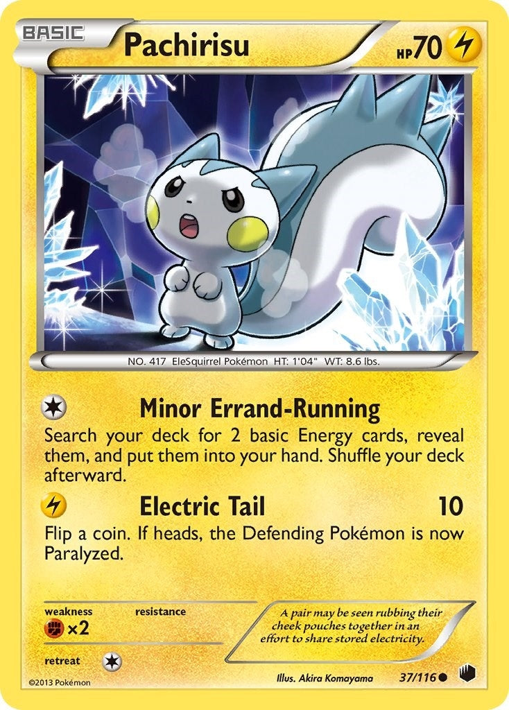 Pachirisu (37/116) (PLF)