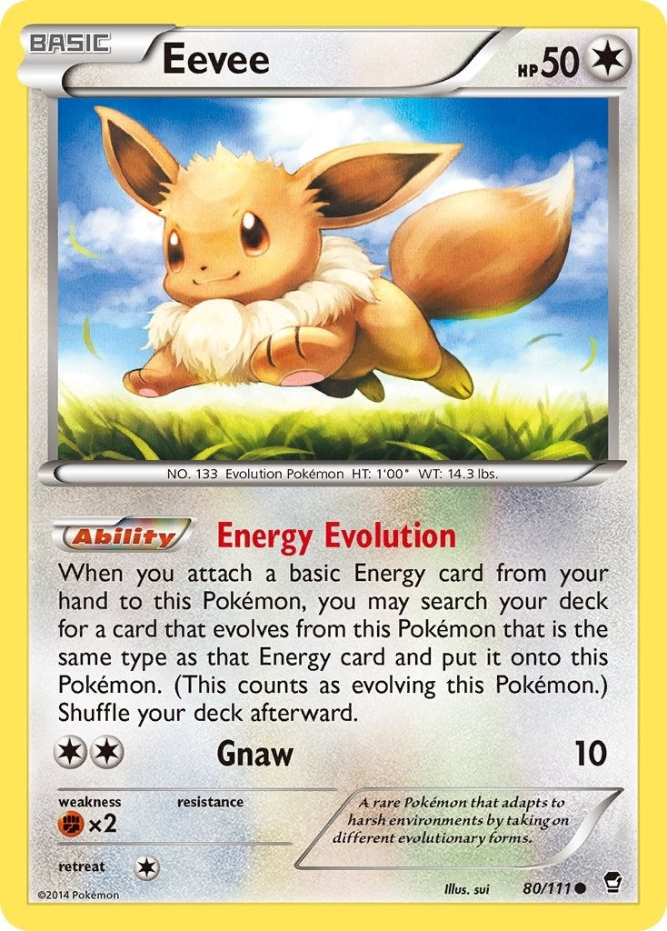 Eevee (80/111) (FFI)