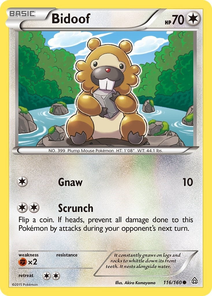 Bidoof (116/160) (PRC)