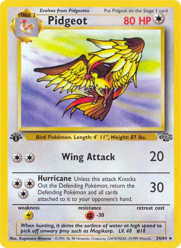 Pidgeot (24) (24/64) (JU)