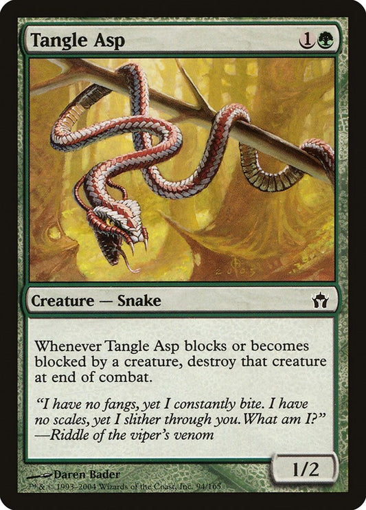 Tangle Asp (94) (5DN)