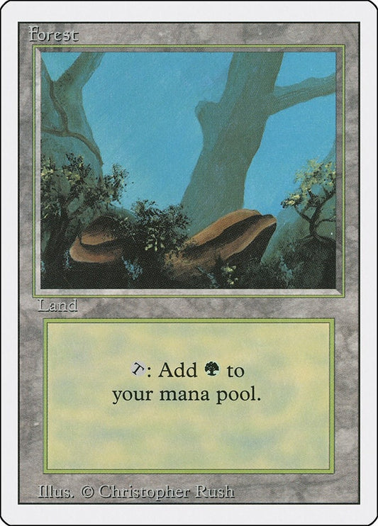 Forest (A) (284) (3ED)