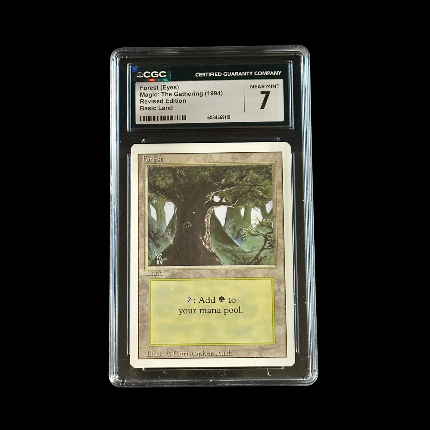 MTG Magic The Gathering Slab Forest Revised CGC 7 NM 1994
