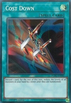 Cost Down (LCKC-EN040) (LC06)
