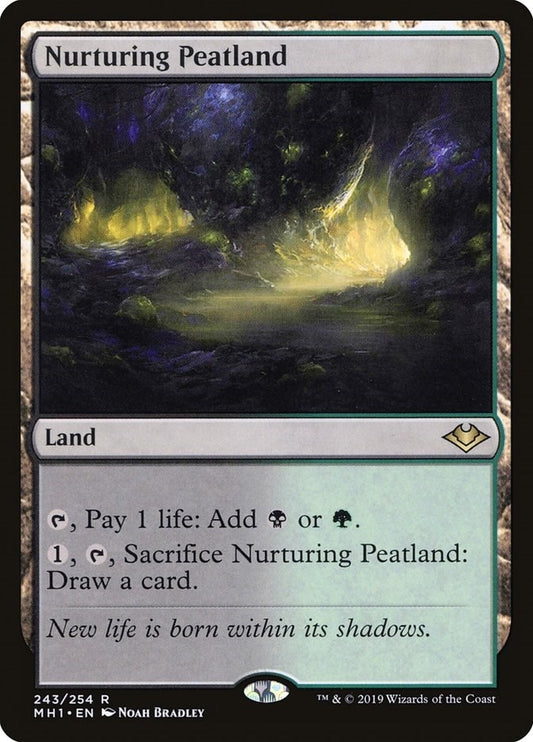 Nurturing Peatland (243) (MH1)
