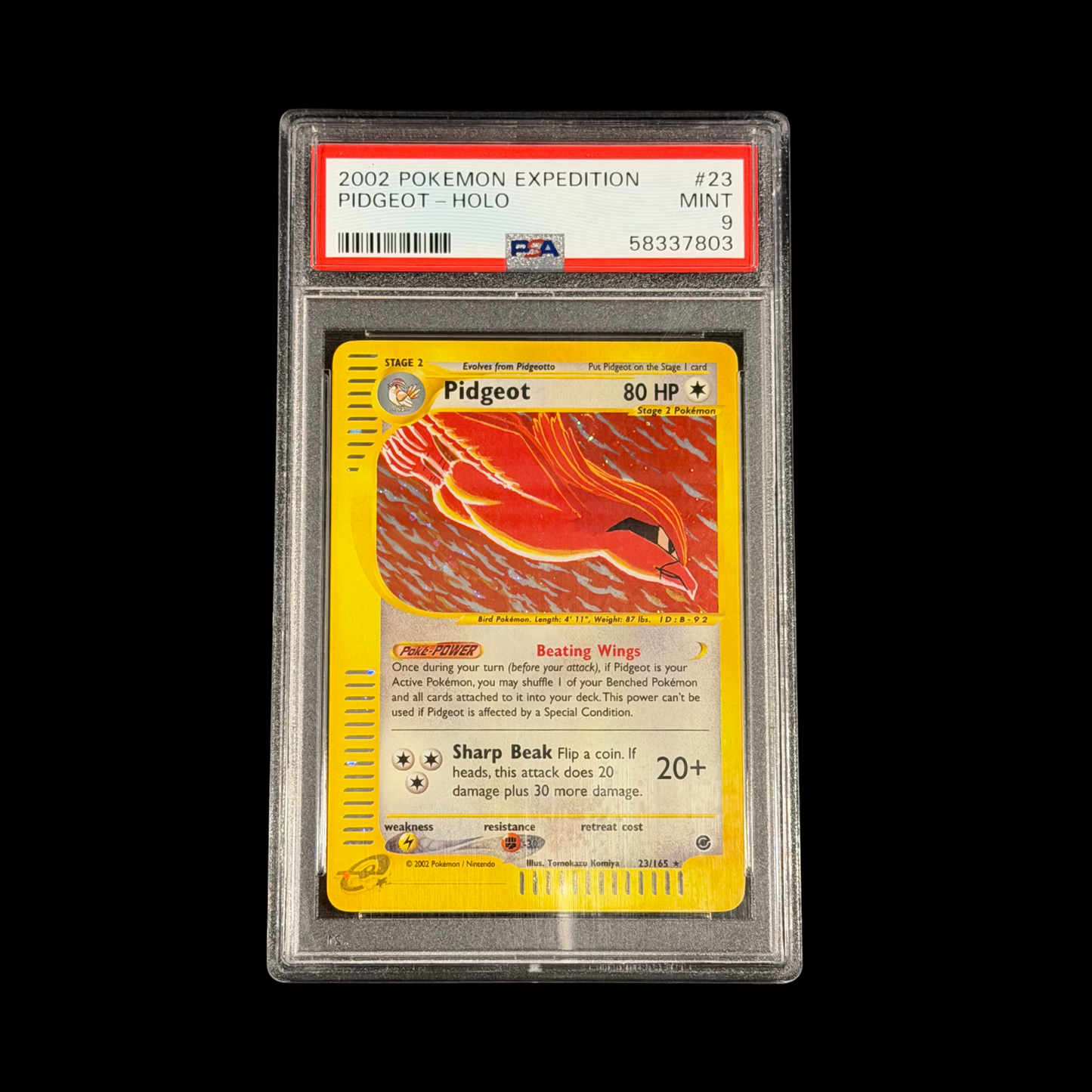 Pokemon Slab Pidgeot 23 Holo PSA 9 Mint 2002