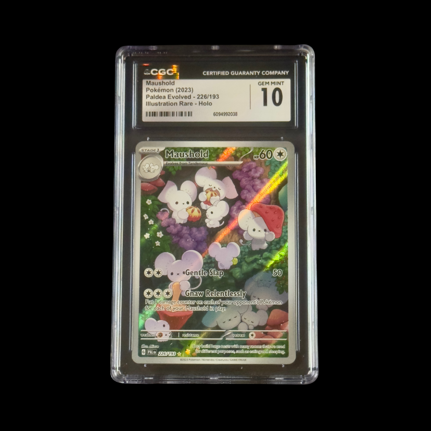 Pokemon Slab Maushold 226 CGC 10 Gem 2023