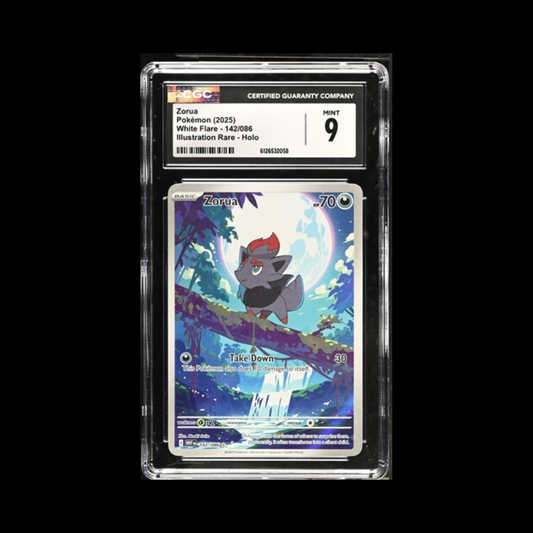 Pokemon Slab Zorua 142 CGC 9 Mint 2025
