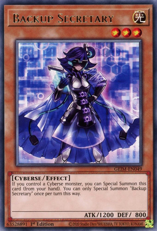 Backup Secretary (GEIM-EN049) (GEIM)