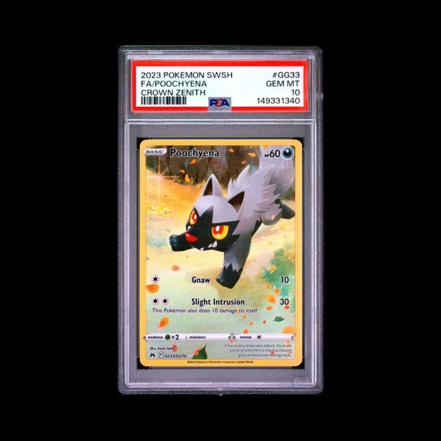 Pokemon Slab Poochyena GG33 PSA 10 Gem 2023