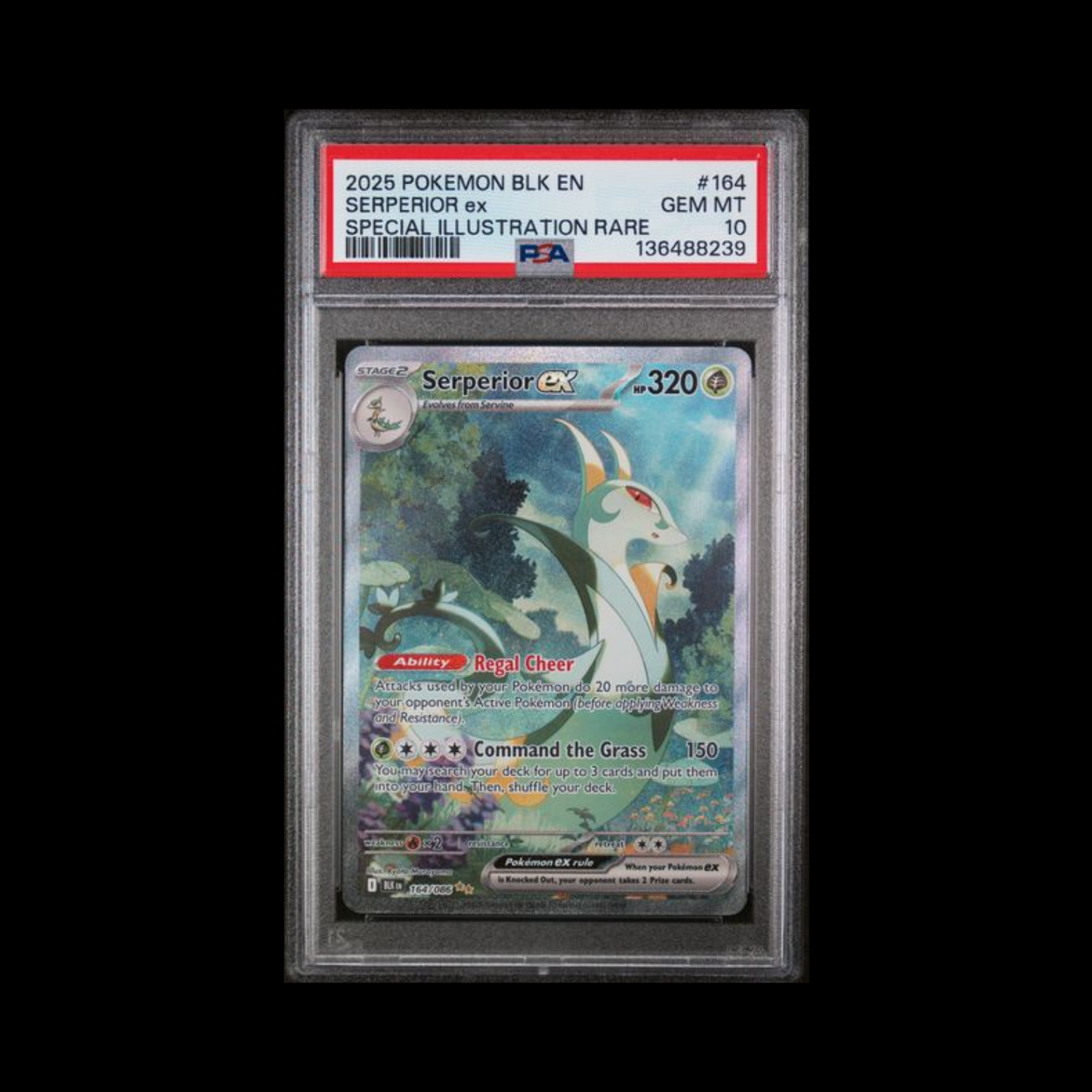 Pokemon Slab Serperior EX 164 PSA 10 Gem 2025