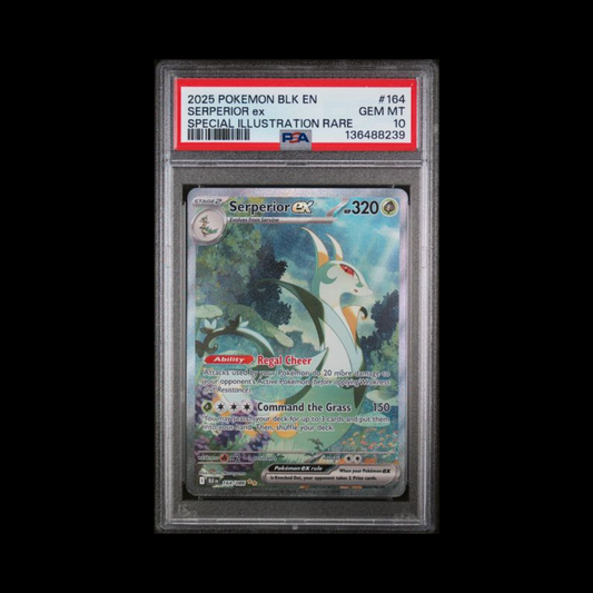 Pokemon Slab Serperior EX 164 PSA 10 Gem 2025