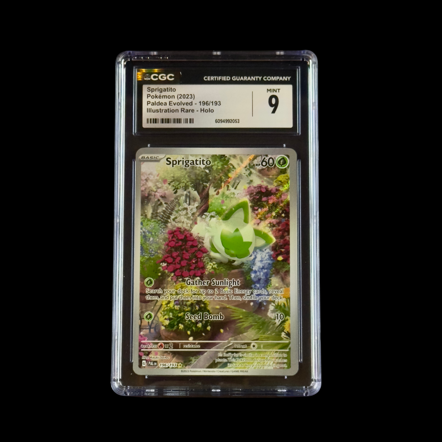 Pokemon Slab Sprigatito 196 CGC 9 Mint 2023