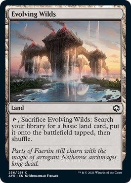 Evolving Wilds (256) (AFR)