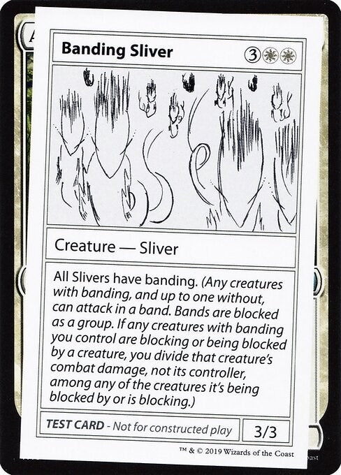 Banding Sliver (No PW Symbol) (CMB1)