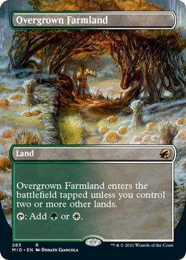 Overgrown Farmland (Borderless) (283) (MID)