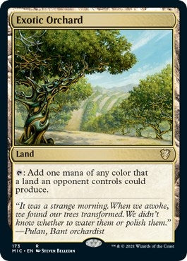 Exotic Orchard (173) (MIC)