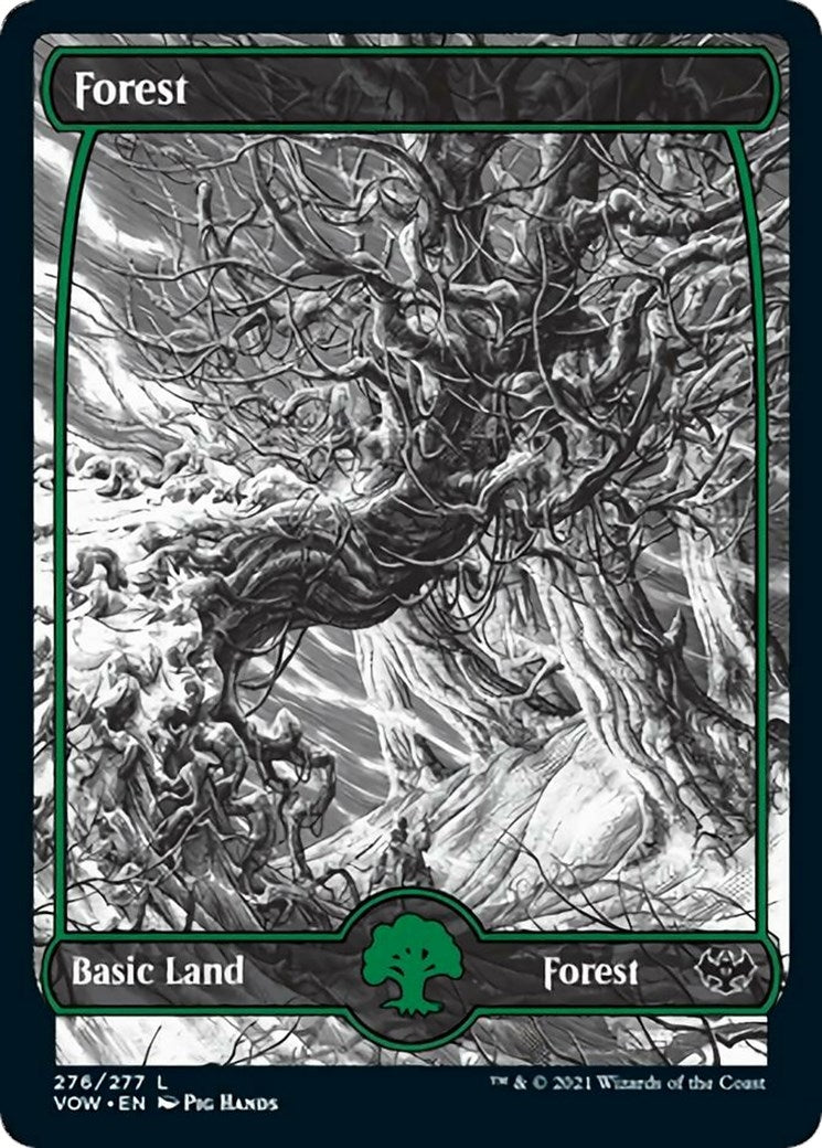 Forest (276) (276) (VOW)