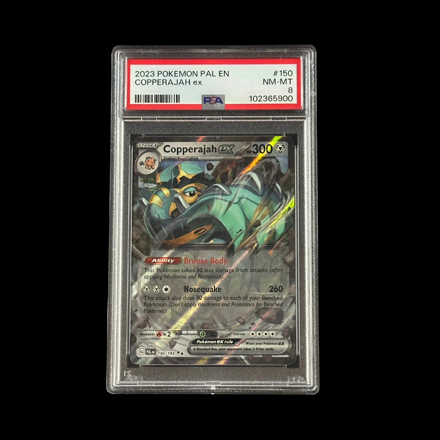 Pokemon Slab Copperajah EX Paldea Evolved Holo 150/193 PSA 8 NM 2023