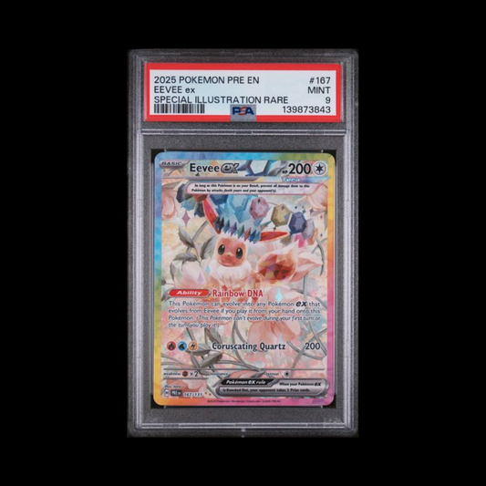 Pokemon Slab Eevee EX 167 PSA 9 Mint 2025