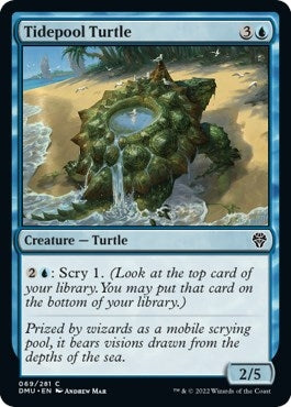 Tidepool Turtle (69) (DMU)