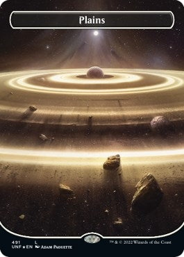 Plains (491) (Borderless) (Galaxy Foil) (491) (UNF)