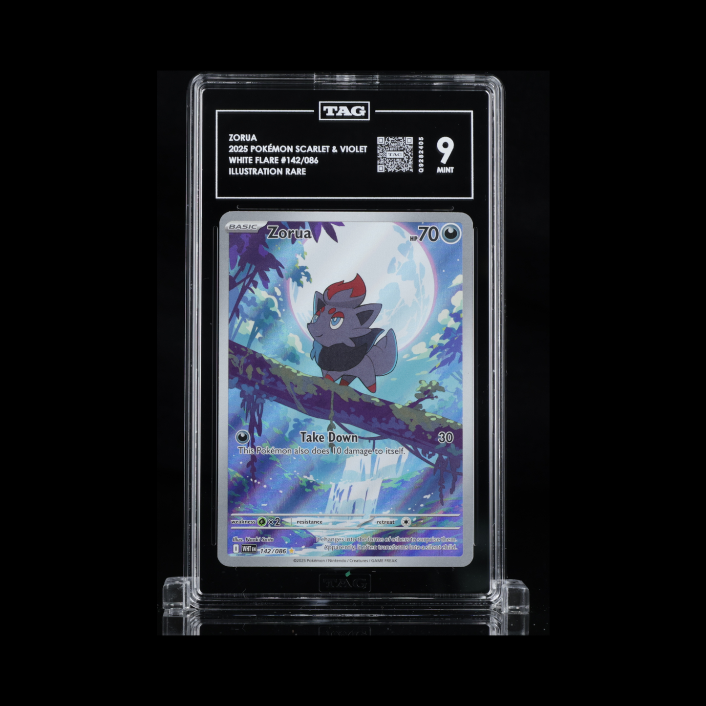 Pokemon Slab Zorua 142 TAG 9 Mint 2025