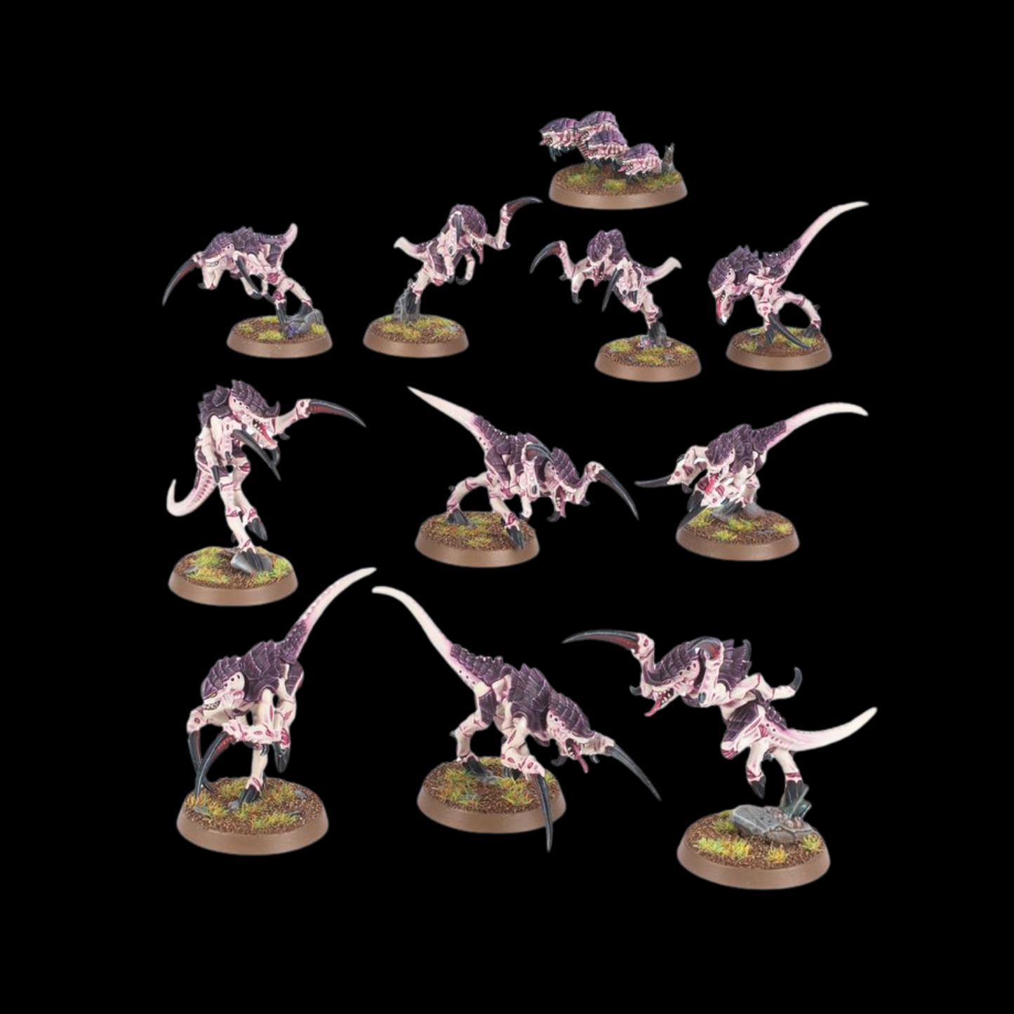Warhammer 40K Tyranid: Hormagaunts