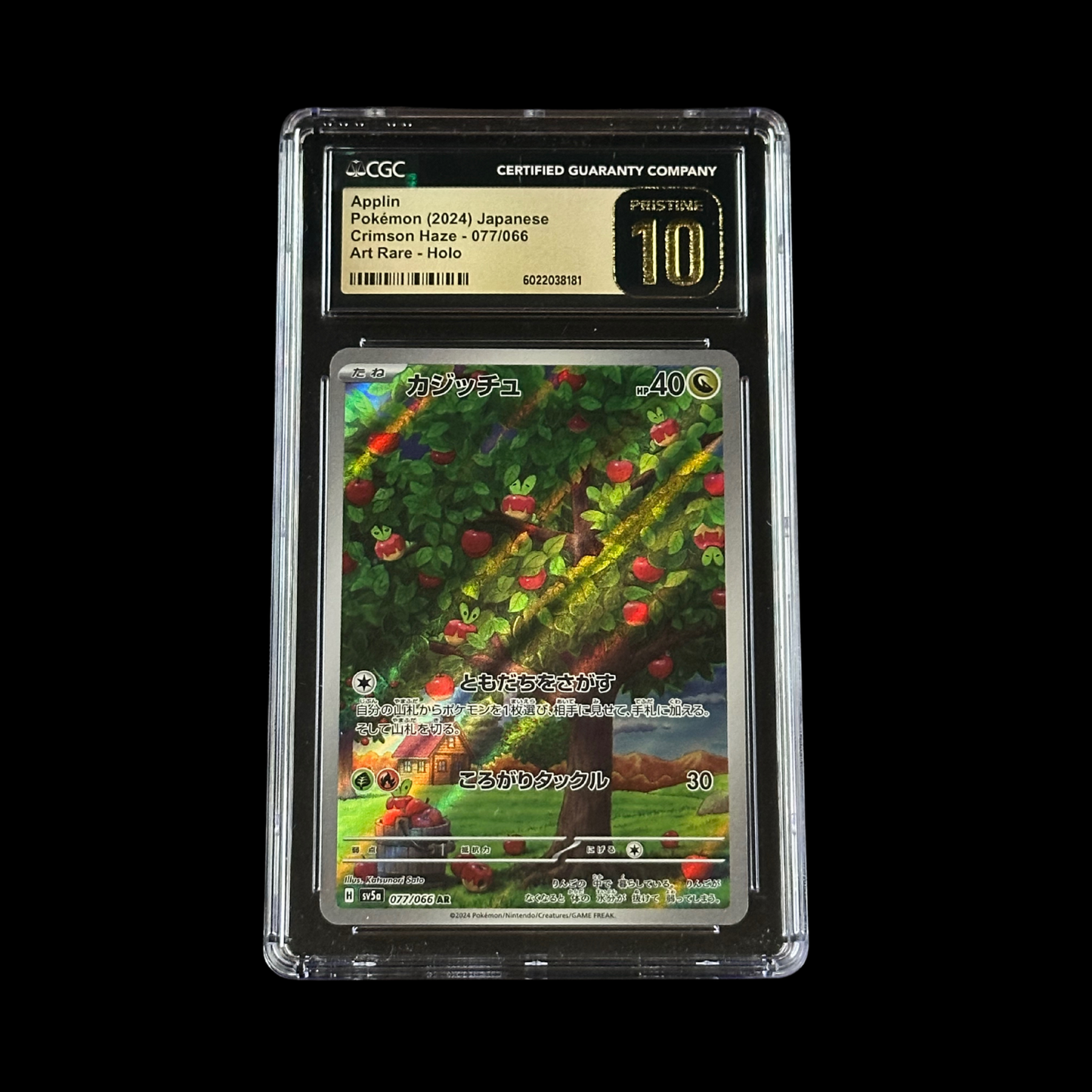 Pokemon JP Slab Applin Crimson Haze Art Rare Holo 077/066 CGC 10 Pristine 2024