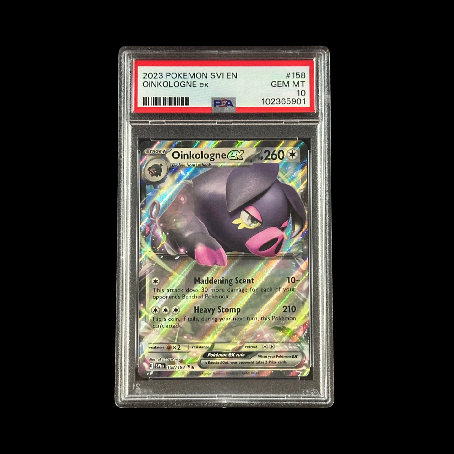 Pokemon Slab Oinkologne EX Scarlet & Violet Holo 158/198 PSA 10 Gem 2023