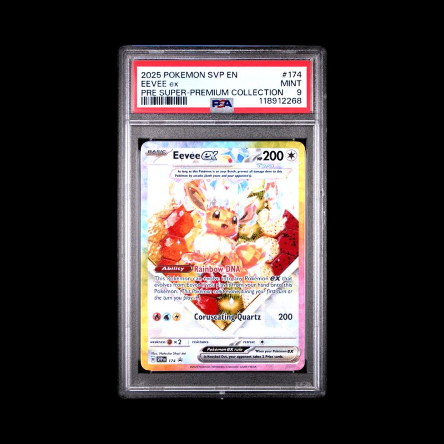 Pokemon Slab Eevee EX 174 PSA 9 Mint 2025