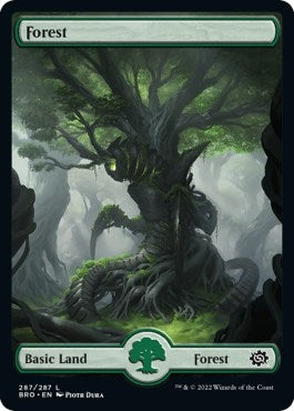 Forest (287) - Full Art (287) (BRO)