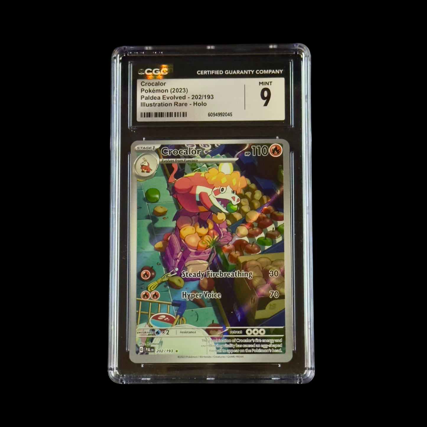 Pokemon Slab Crocalor 202 CGC 9 Mint 2023