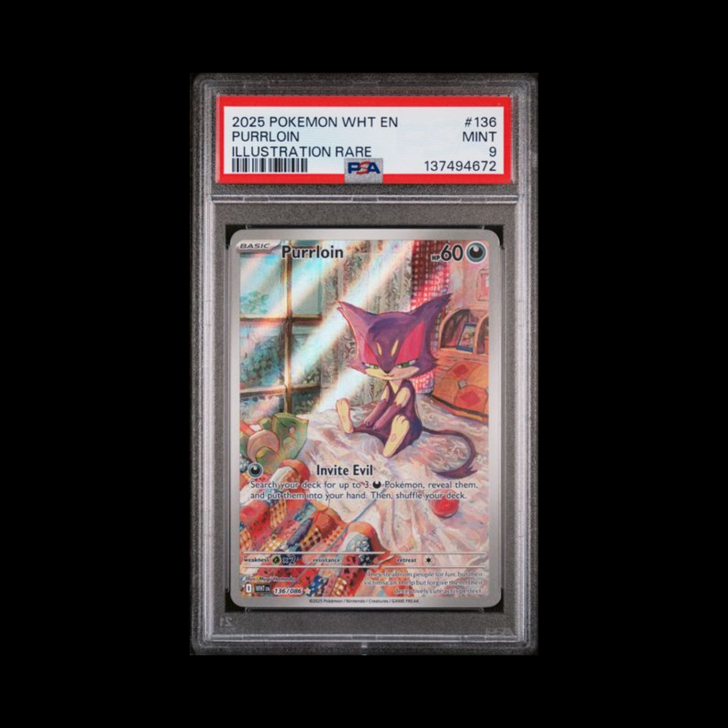 Pokemon Slab Purrloin 136 PSA 9 Mint 2025