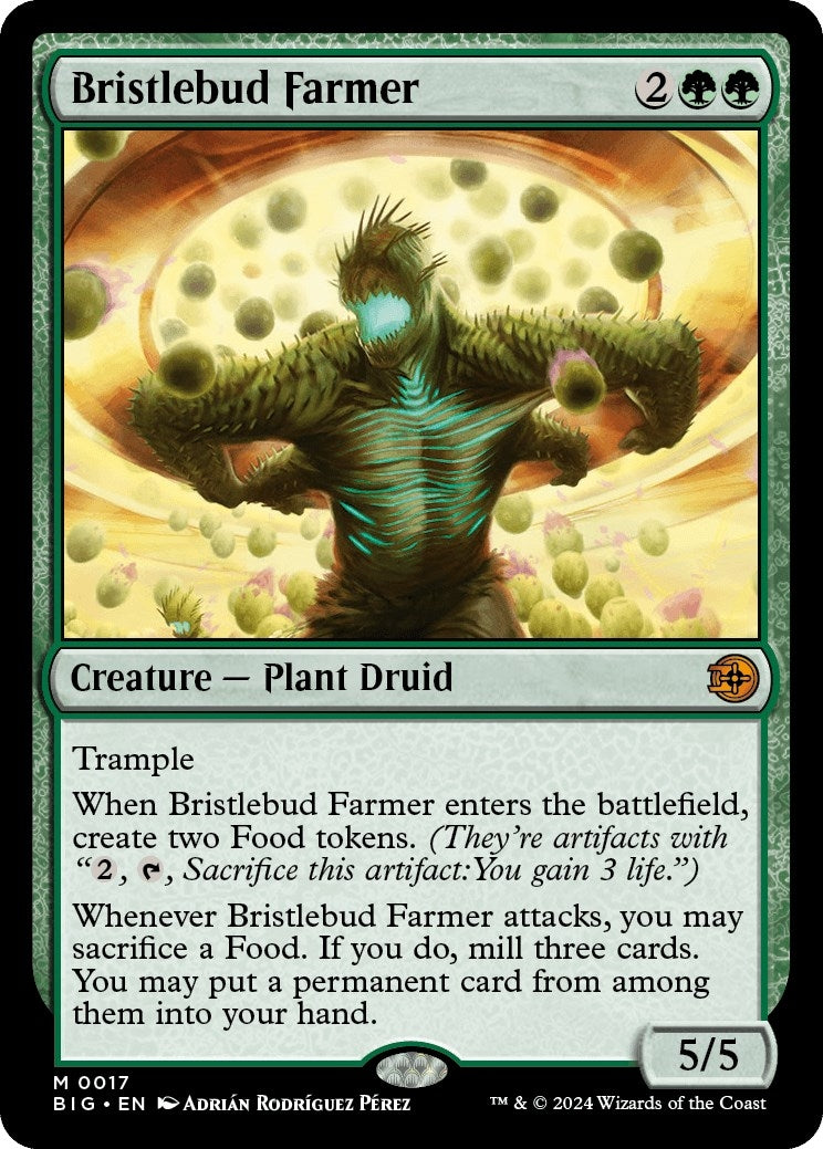 Bristlebud Farmer (17) (BIG)