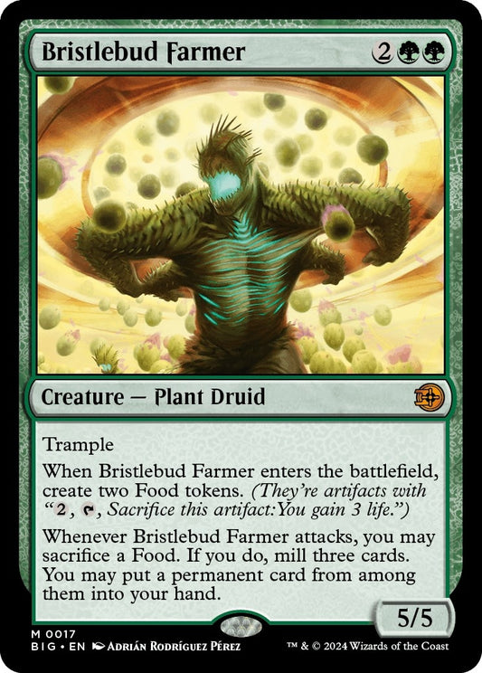 Bristlebud Farmer (17) (BIG)