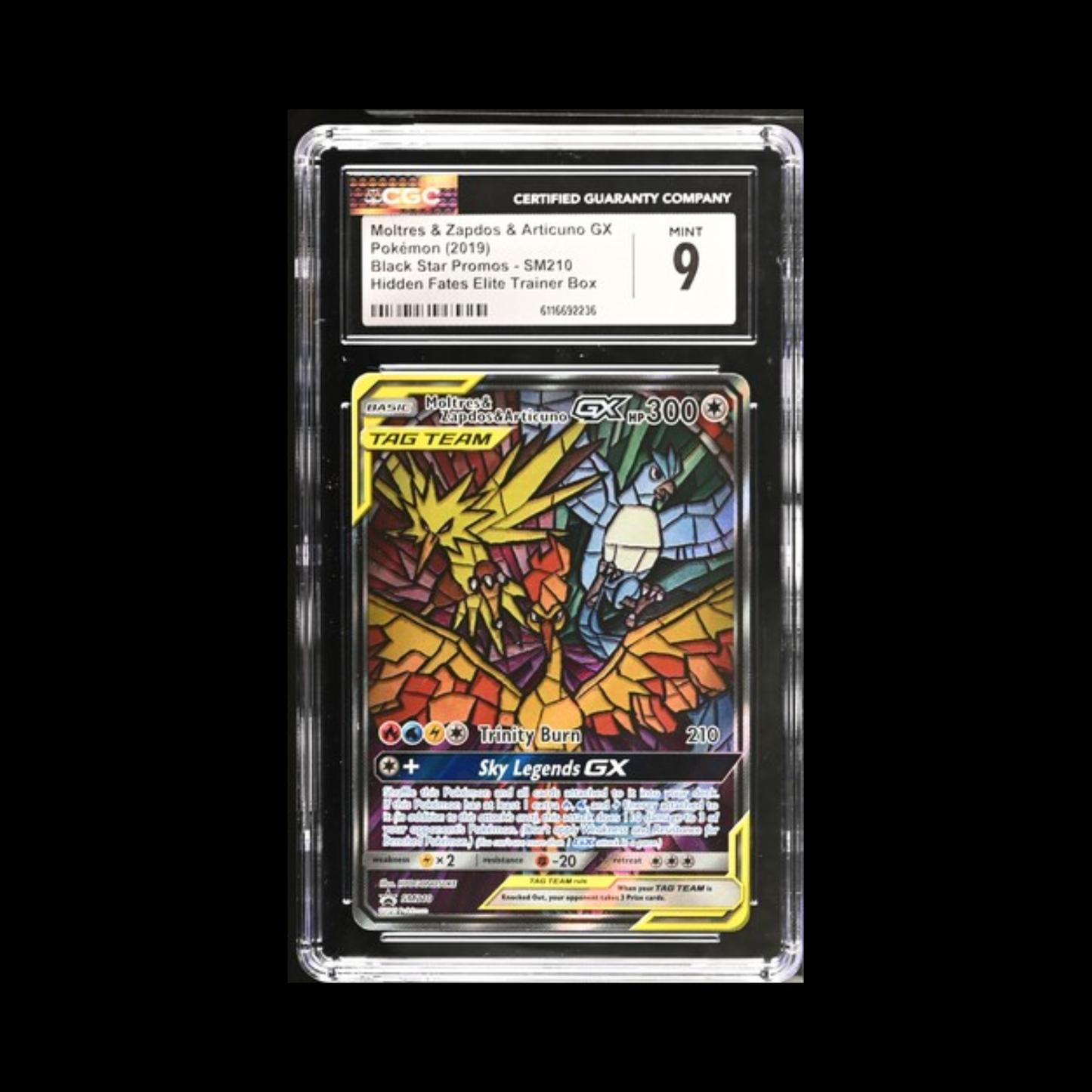Pokemon Slab Moltres & Zapdos & Articuno GX SM210 CGC 9 Mint 2019