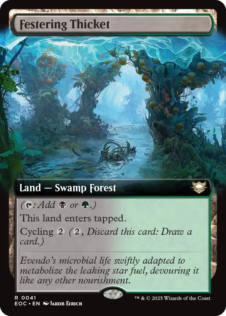 Festering Thicket (Extended Art) (41) (EOC)
